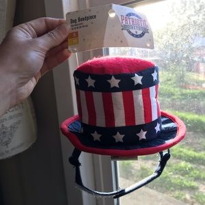 Small or medium dog hat